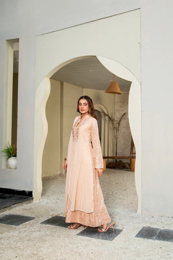 Peach Chiffon Embellished Maxi