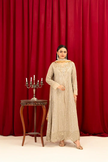 Beige Chiffon Embellished Maxi