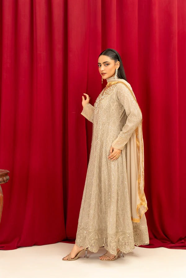 Beige Chiffon Embellished Maxi