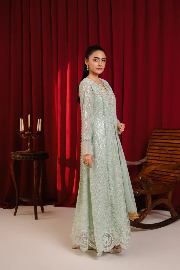 Mint Green Chiffon Embellished Maxi