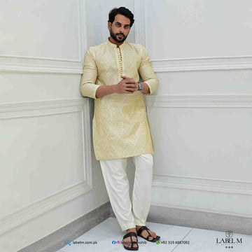 Fawn Raw Silk Embroidered Kurta