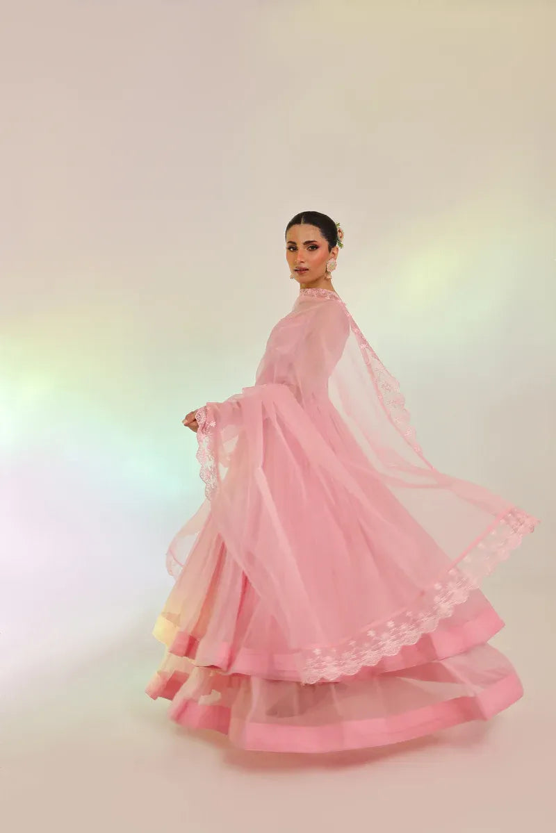 Pink Tier Pishwas
